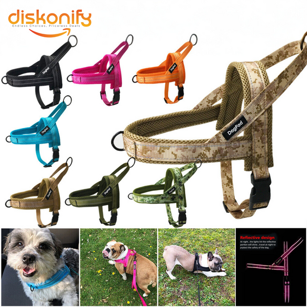 Breathable Mesh Dog Harness with Rope