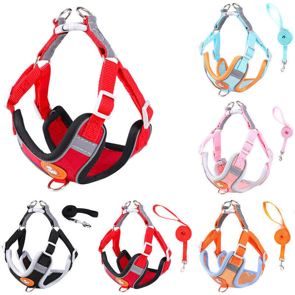 Ideal for Small Pets- Adjustable Dog Harness